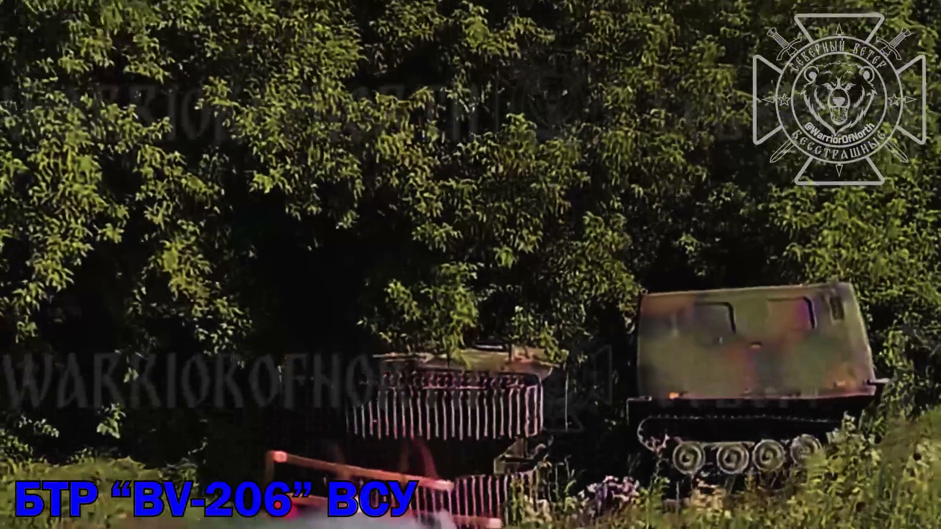 Bv206