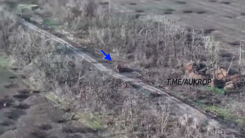 (AWD) ?