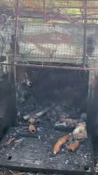 Фото 3