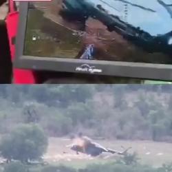 Видео 1