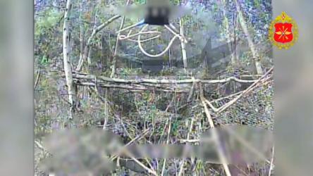 Фото 1