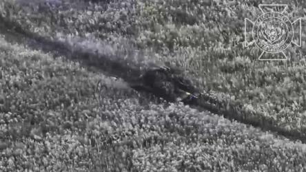 Фото 2