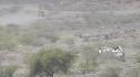 Фото 1
