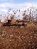 Фото 5