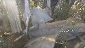 Фото 6