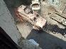 Фото 1