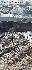 Фото 1