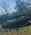 Фото 6