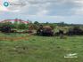 Фото 1