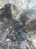 Фото 1