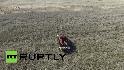 Фото 12