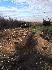 Фото 18