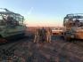 Фото 9