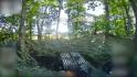 Фото 1
